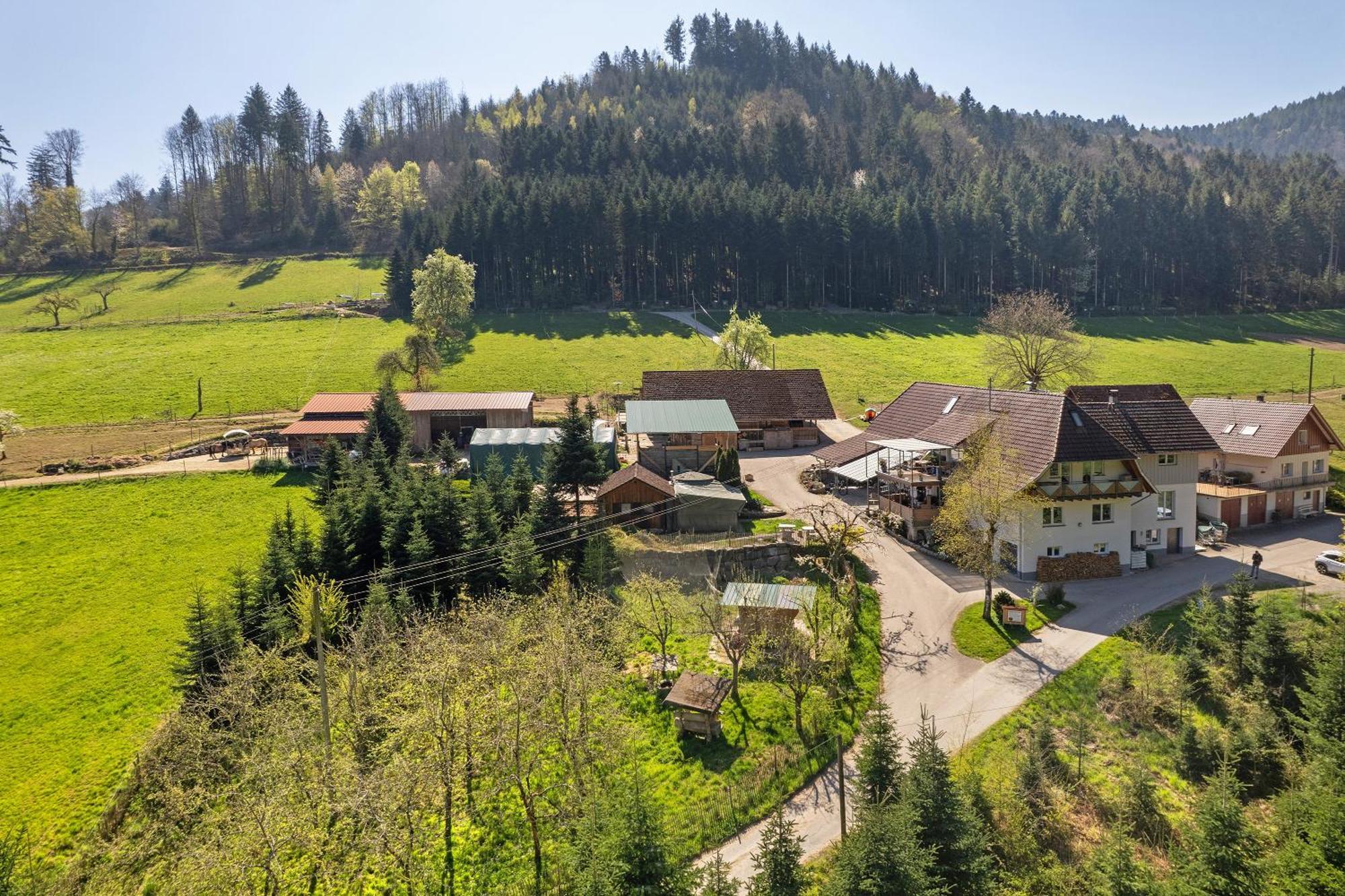 Вилла Muellerleile Hof Хаслах-им-Кинцигталь Экстерьер фото